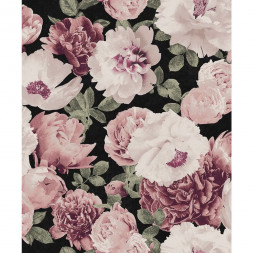 Обои Khroma Kent, KEN001