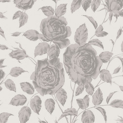 Обои Architector Charlie, SR00522