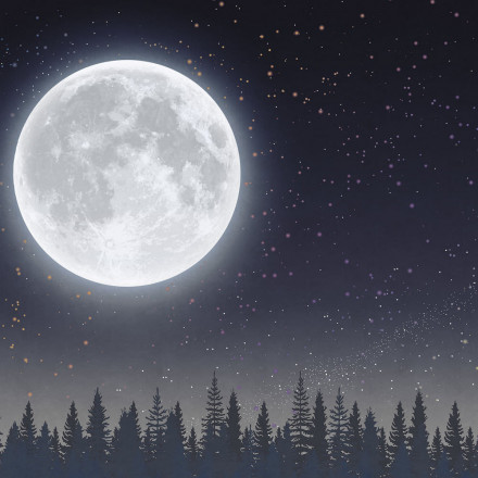 Фреска Ortograf, 34864