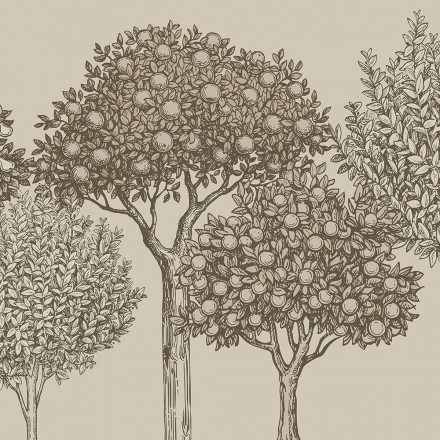 Фреска Ortograf, 35068