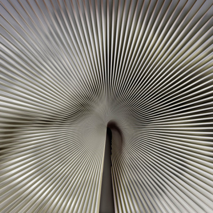 Обои (Панно) Zambaiti Parati Trussardi 7 Z18991