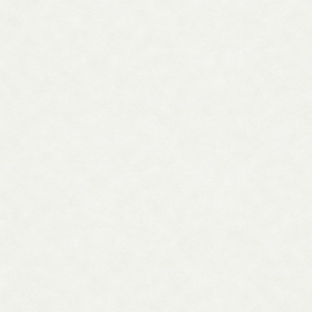 Обои Rasch Bauhaus, 323711