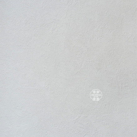 Обои Alessandro Allori Bodega, RTE2404-1