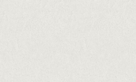 Обои Bruno Zoff Silver 60118-1