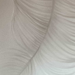 Художественная работа «Перья»