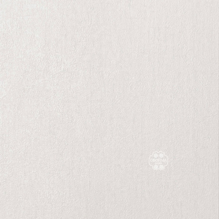 Обои Alessandro Allori Bodega, RTE2402-1