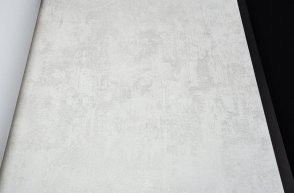 Обои Bruno Zoff Silver 60119-1