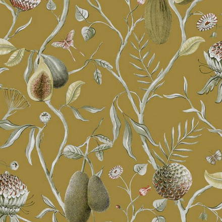 Обои Khroma Cabinet of curiosities, CAB603