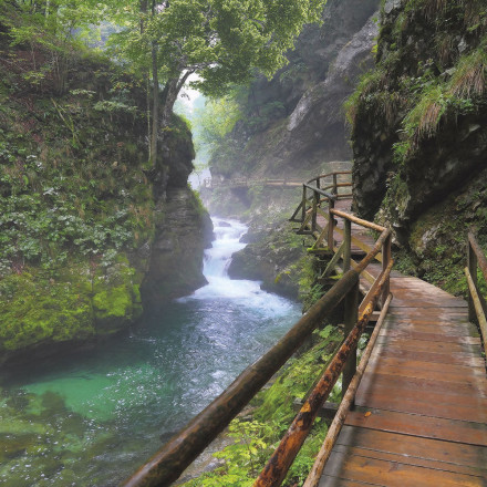 Фреска Ortograf, 50009