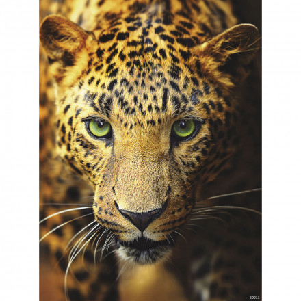 Фреска Ortograf, 50011