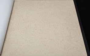 Обои Bruno Zoff Silver 60118-4