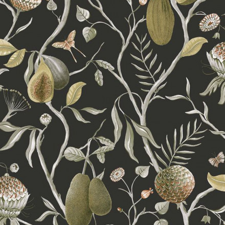 Обои Khroma Cabinet of curiosities, CAB605