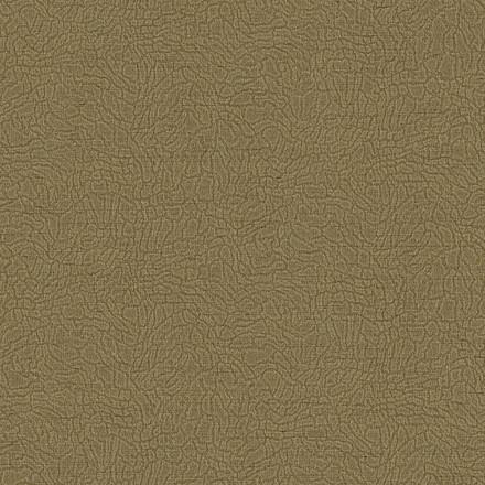 Обои Alessandro Allori Breeze, RDT2210-6