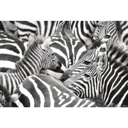 Фреска Ortograf, 50012