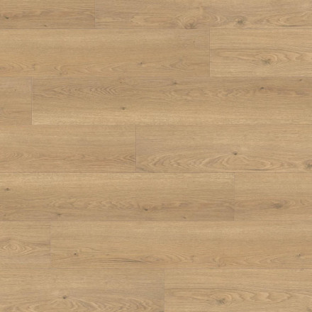 Ламинат Haro Tritty 100 «Дуб Флавия Пуро», 544711