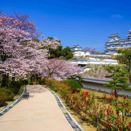 Фреска MyFotooboi, МФ9368