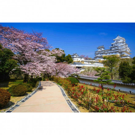 Фреска MyFotooboi, МФ9368