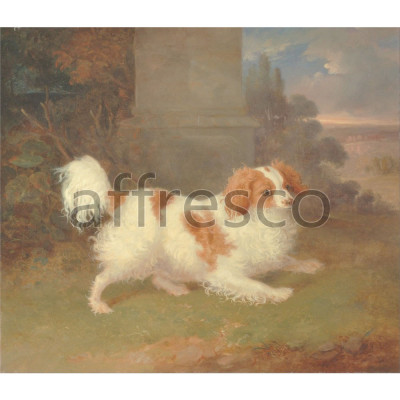 Фреска Affresco, William Webb A Blenheim Spaniel