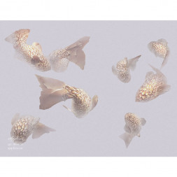 Фреска Applico Three «Рыбки», 0044-S1