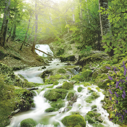 Фреска Ortograf, 50017