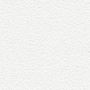 Обои Alessandro Allori Barbara, R65438-1