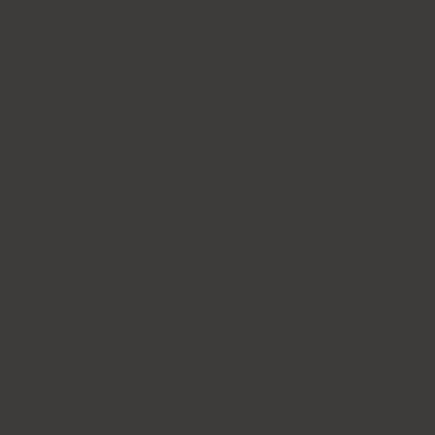 Краска Lanors Mons, цвет «Черно-коричневый» RAL 8022