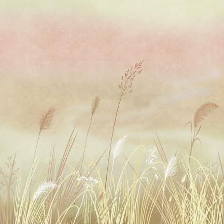 Фреска Ortograf, 34981