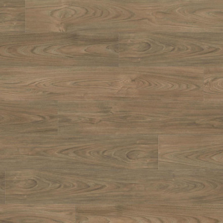 Ламинат Haro Tritty 100 «Вяз Варио», 544720