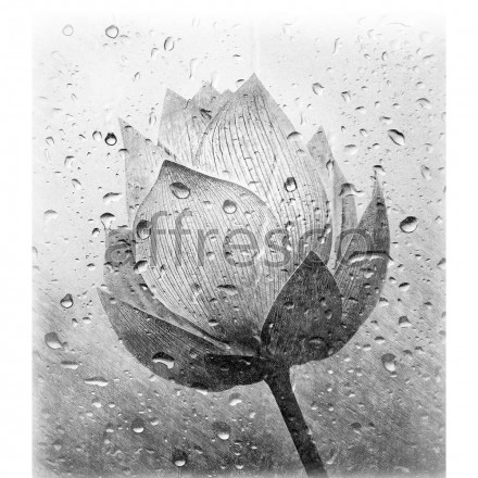 Фреска Affresco, ID136156