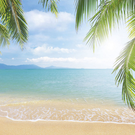 Фреска Ortograf, 50022