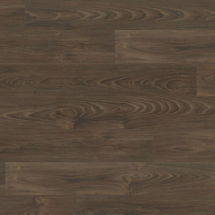 Ламинат Haro Tritty 100 «Акация Варио», 544723