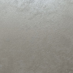 Нанесение декоративного покрытия «Zephyro Silver»