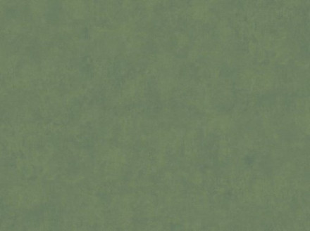 Обои Bernardo Bartalucci Cesara 5012-8