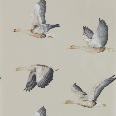 Обои Sanderson Elysian, 216611