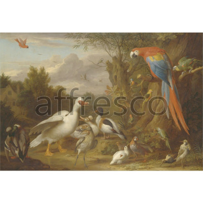 Фреска Affresco, Jacob Bogdani A Macaw Ducks Parrots and Other Birds in a Landscape