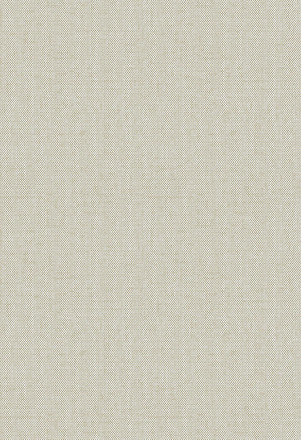 Обои Decaro AI, HED2017