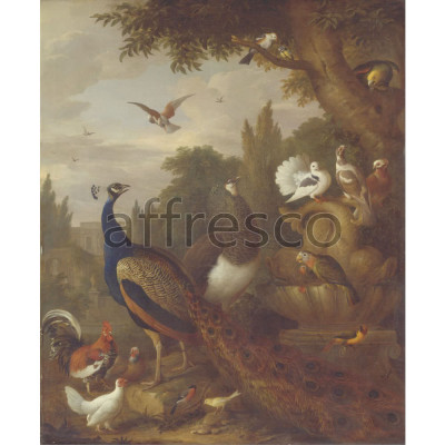 Фреска Affresco, Jacob Bogdani Peacock peahen parrots canary and other birds in a park