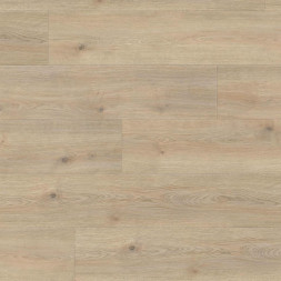 Ламинат Haro Tritty 100 Campus 4V «Дуб Контура Каменно-серый», 532066