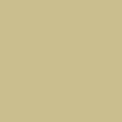Краска Lanors Mons, цвет «Зелено-бежевый» RAL 1000
