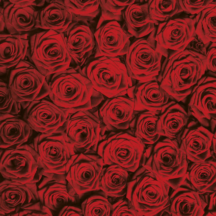 Фреска Ortograf, 50044