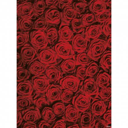 Фреска Ortograf, 50044