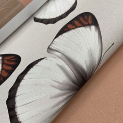 Обои Andrea Rossi Cheradi, 54400-6