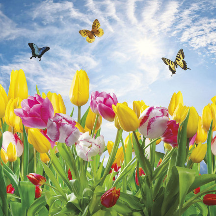 Фреска Ortograf, 50046