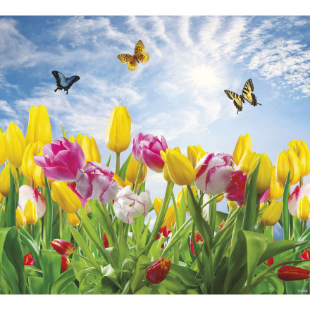 Фреска Ortograf, 50046