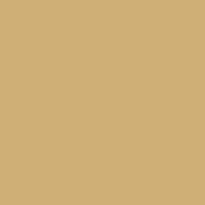 Краска Lanors Mons, цвет «Песочно-желтый» RAL 1002