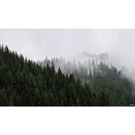 Фреска Ortograf, 34779