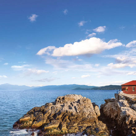 Фреска Ortograf, 34885