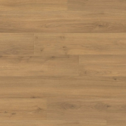 Ламинат Haro Tritty 100 Campus 4V «Дуб Эмилия Медовый», 541541