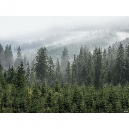 Фреска Ortograf, 34780