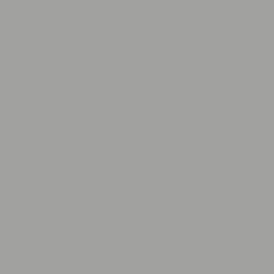 Краска Lanors Mons, цвет «Бело-алюминиевый» RAL 9006